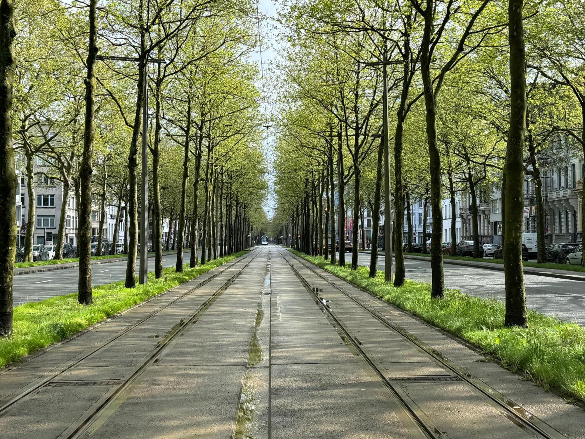 Budget Boetiek Rubenshof * Antwerpen
